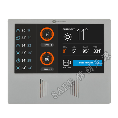 1024x600 pointille le plein angle de visualisation de 7 de pouce de TFT LCD de module du contact 50 IPS de goupilles